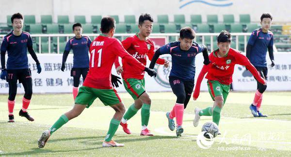  青少年足球锦标赛落幕，潜力新苗脱颖而出  